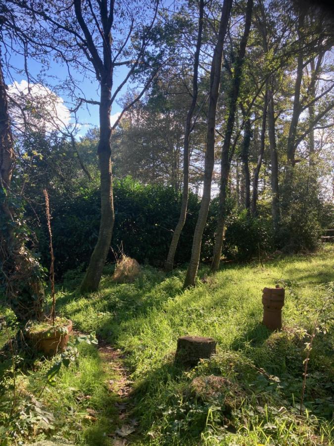 Woodland Retreat, Market Lane, Blundeston, Lowestoft Exteriér fotografie