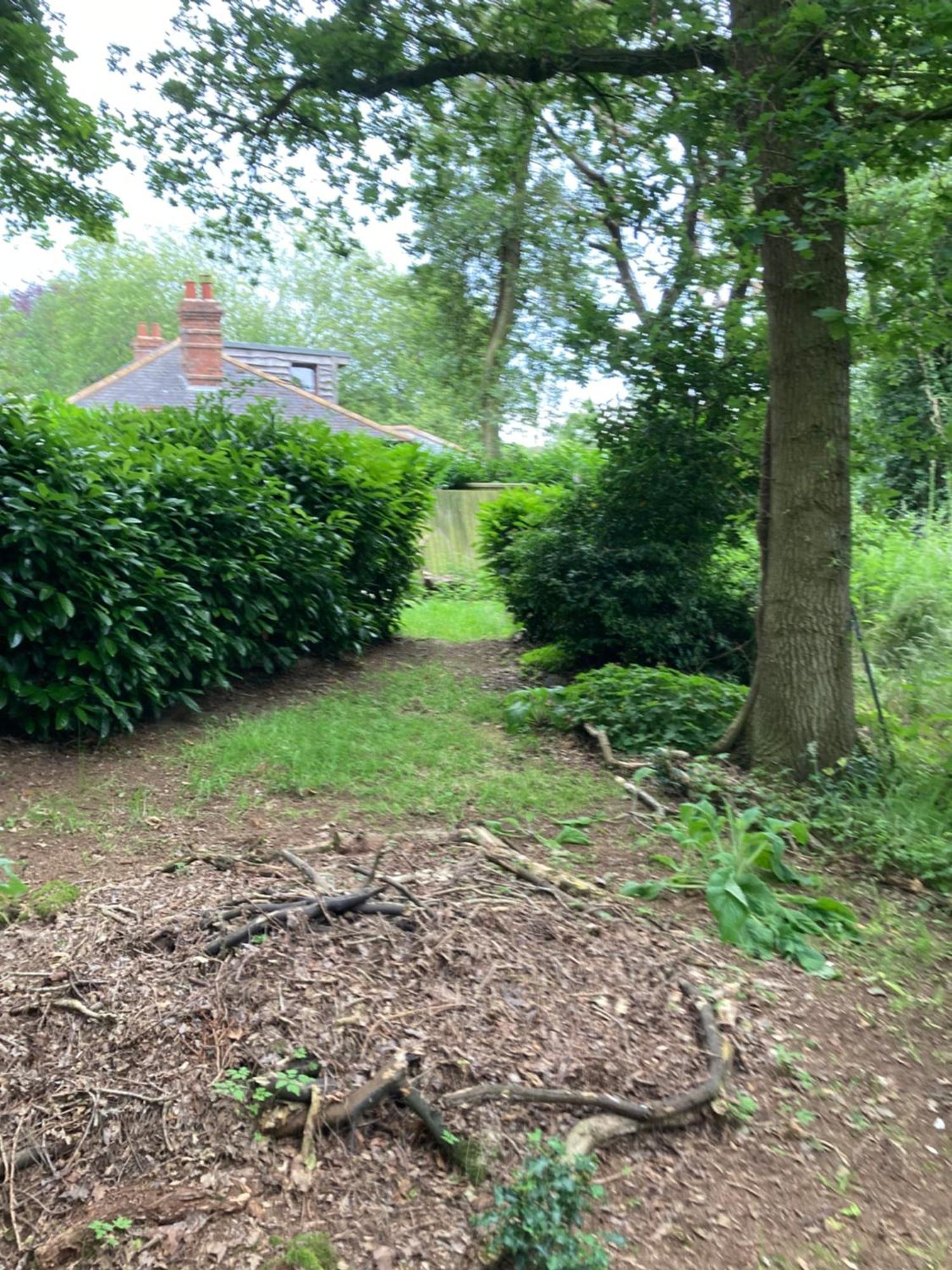 Woodland Retreat, Market Lane, Blundeston, Lowestoft Exteriér fotografie